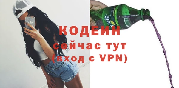 дживик Лагань