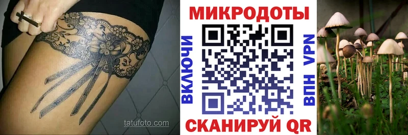 blacksprut   Мценск  Псилоцибиновые грибы Psilocybe 