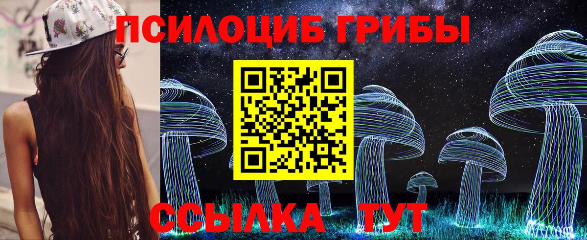 Галлюциногенные грибы Psilocybe Мценск