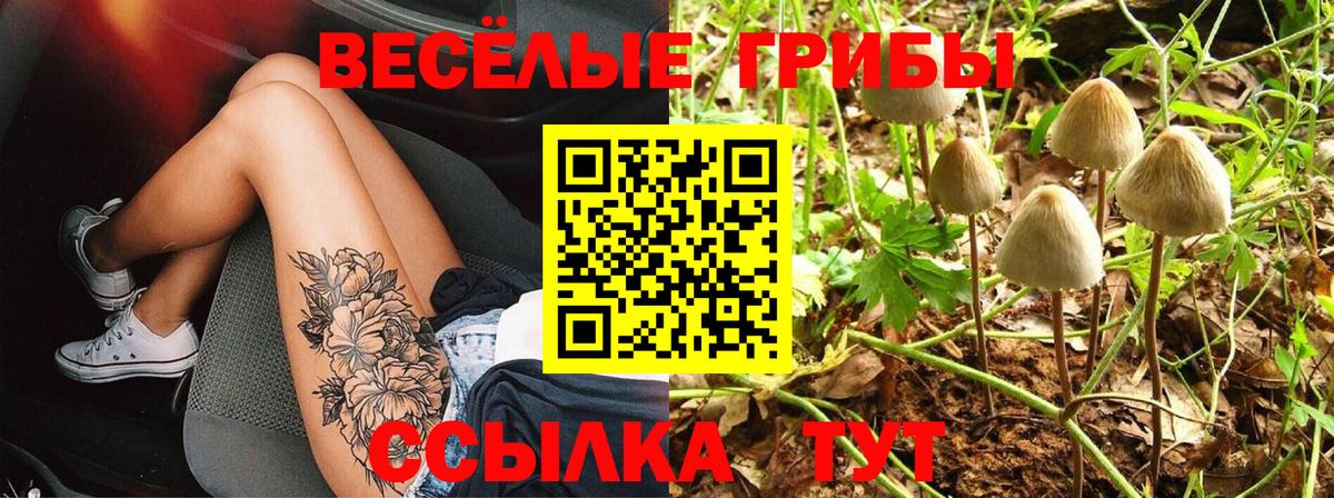 Псилоцибиновые грибы Magic Shrooms  сколько стоит  Мценск  Псилоцибиновые грибы мицелий 