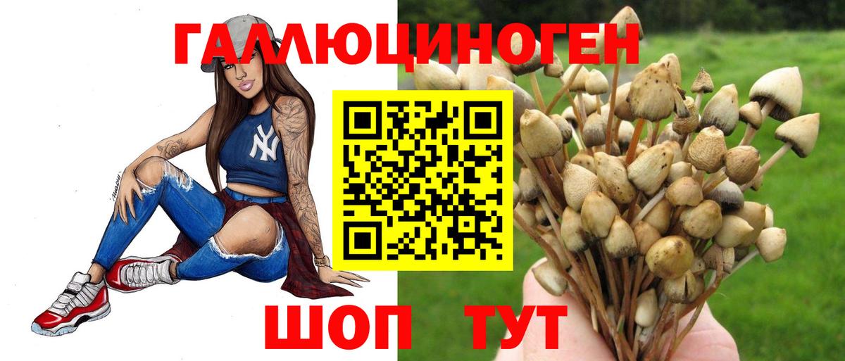 Галлюциногенные грибы мицелий  Галлюциногенные грибы Magic Shrooms  Вход с VPN  Мценск 